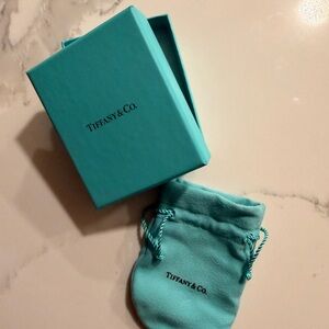 Tiffany & Co. Signature Tiffany Blue Gift Box and Drawstring Pouch